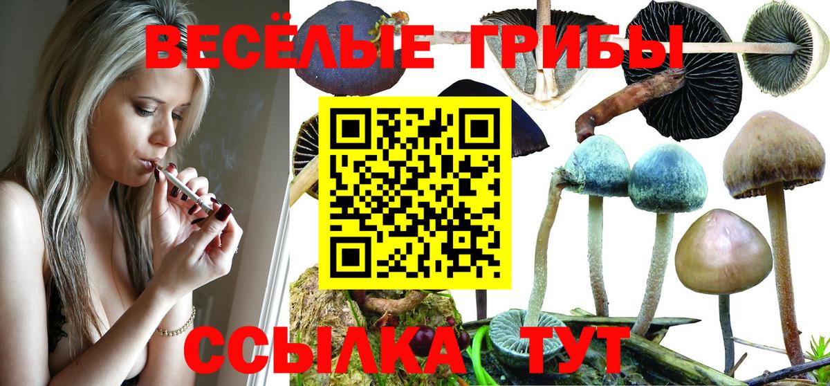 Псилоцибиновые грибы ЛСД Надым