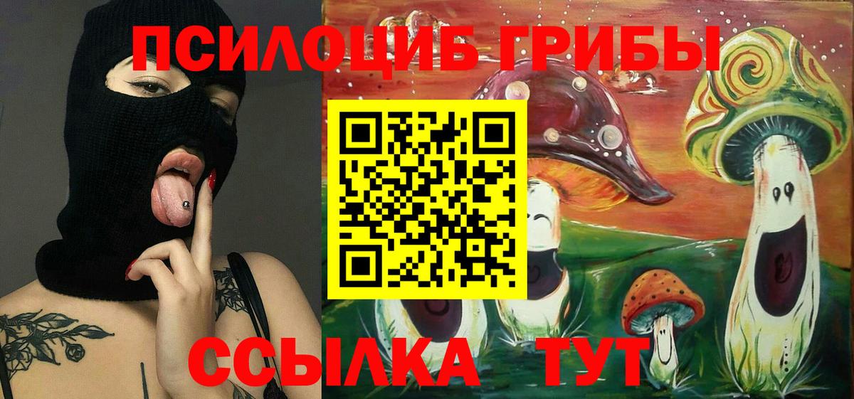 Галлюциногенные грибы Cubensis  Вход с VPN  Надым 